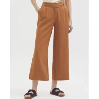 Nice Things Pantalon Pincas  In Brown