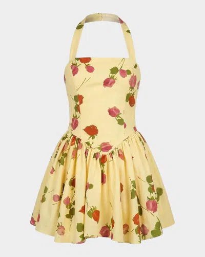 Nicholas Amalie Floral Linen-blend Mini Dress In Fallen Ros
