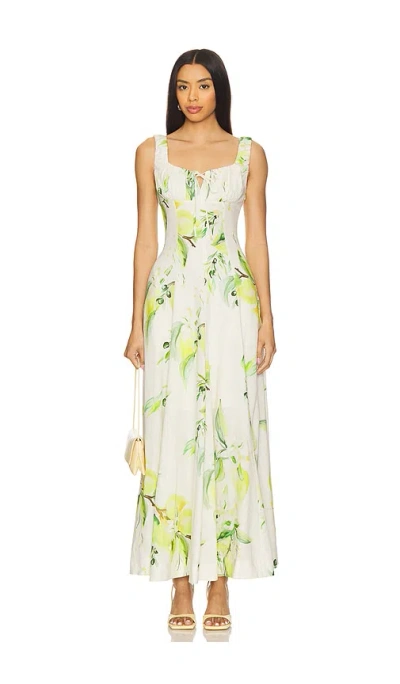 Nicholas Dina Maxi Dress In Neutral,green