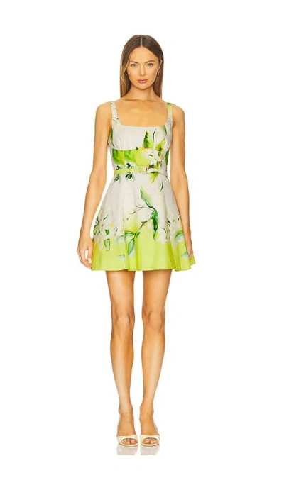 Nicholas Eleni Panelled Mini Dress In Ivory,green