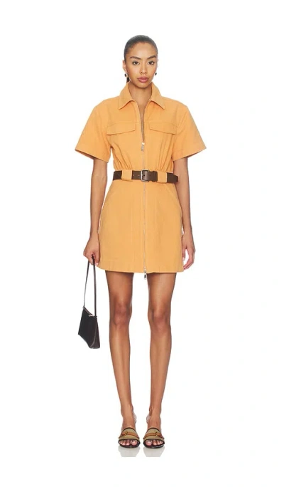 Nicholas Embla Belted Utility Mini Dress In Brown