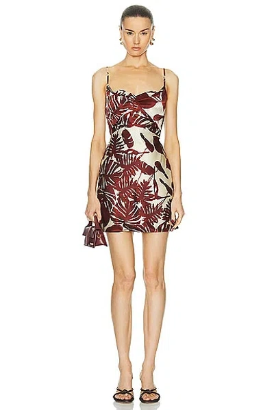 Nicholas Haley Cowl Draped Mini Dress In Brick Segovia Print