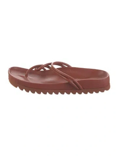 Pre-owned Nicholas Rubber Flip Flops In Brown