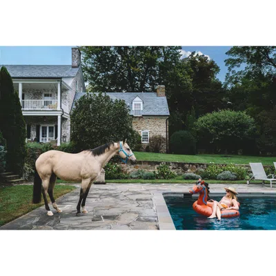 Nick Mele Face-off By  In Blue