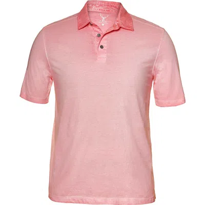 Nicoby Spray Pima Cotton Polo In Pink