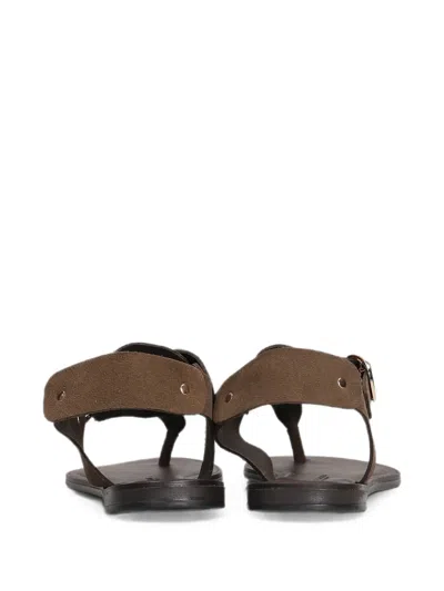 Nicolas Lainas Buckle-fastening Sandals In Brown