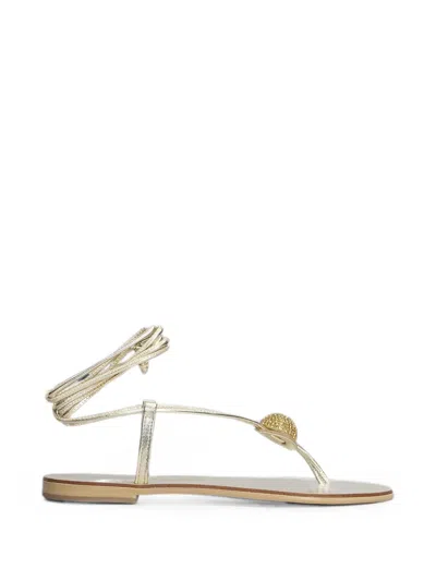 Nicolas Lainas Embellished Wrap-around Sandals In Gold