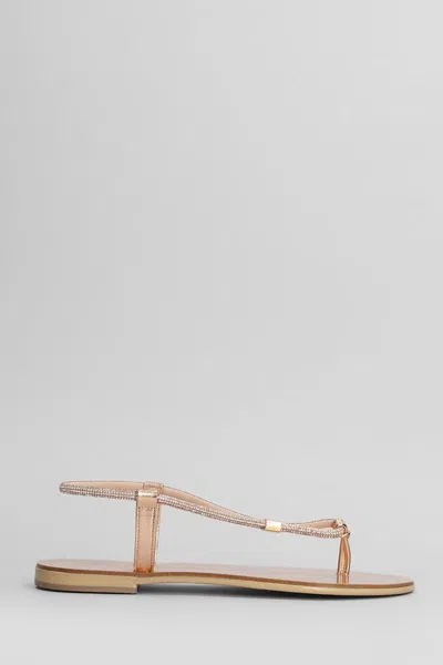 Nicolas Lainas Flats