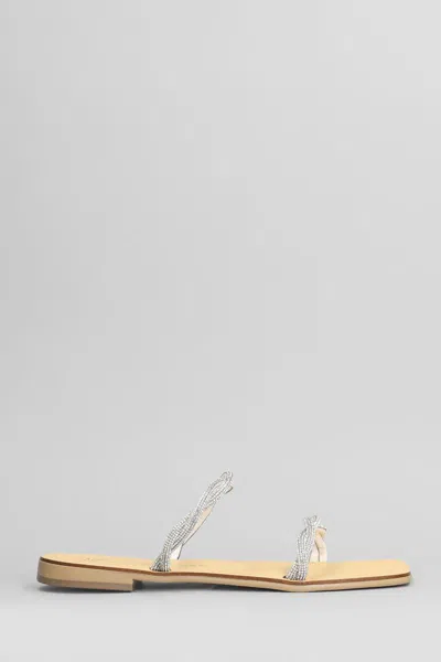 Nicolas Lainas Flats