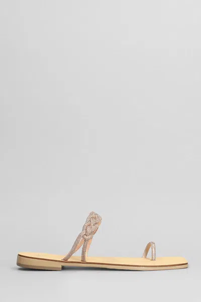 Nicolas Lainas Flats