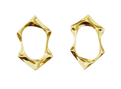 Nicole Amato Women's Waves Earrings - Golds
