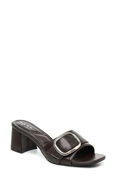 Nicole Miller Buckle Slide Sandal In Transparent