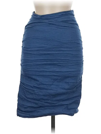Pre-owned Nicole Miller Casual Skirt In Blue