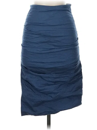 Pre-owned Nicole Miller Casual Skirt In Blue