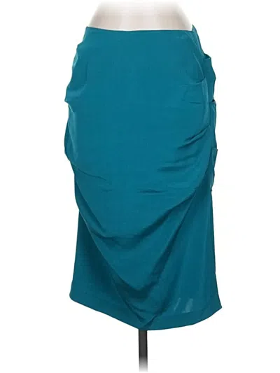 Pre-owned Nicole Miller Collection Casual Skirt In Blue