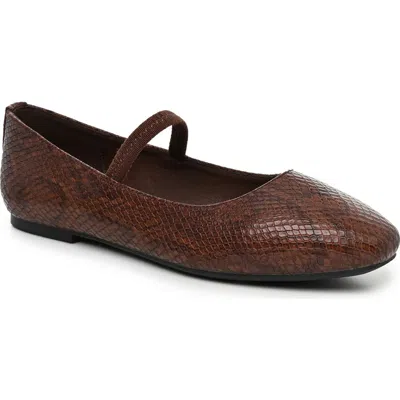 Nicole Miller Faux Leather Flar In Brown Snake
