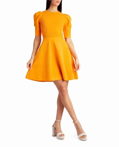 Nicole Miller Jessie Pleated Shoulder A-line Dress In Flame Orange In Multi
