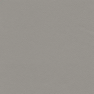 Nicoletti Leather Corona Chair