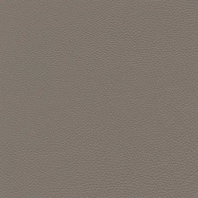 Nicoletti Leather Corona Chair