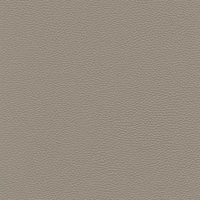 Nicoletti Leather Corona Chair