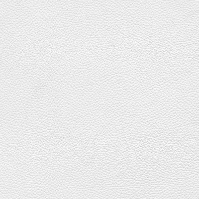 Nicoletti Leather Corona Chair