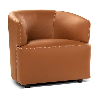 Nicoletti Leather Corona Chair In Minerva  - Ice