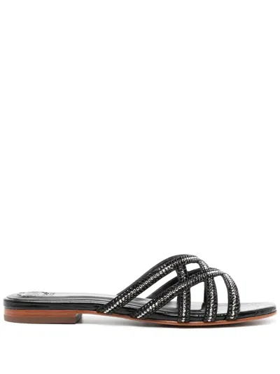 Nicoli Zuri Crystal-embellished Sandals In Black