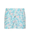 Nikben Flamingo Swim Trunks
