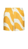 Nikben Wavy Shorts