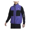 Nike Acg Arctic Wolf Vest Persian Violet