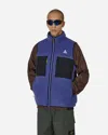 Nike Acg Arctic Wolf Vest Persian Violet In Multicolor