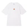 Nike Acg Logo Embroidered Pattern Loose Round Neck Short Sleeve White In White