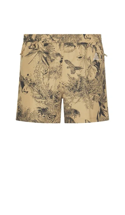Nike Acg Reservoir Goat Shorts