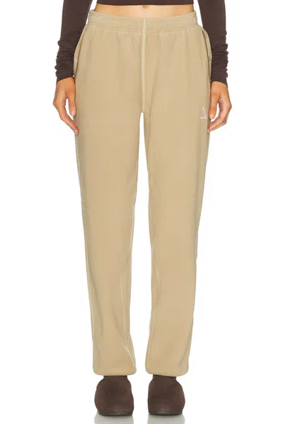 Nike Acg Wolf Tree Pant In Brown