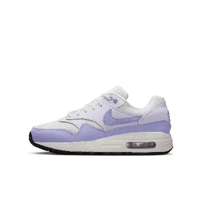 Nike Babies' Air Max 1 Big Kids' Shoes In Grey