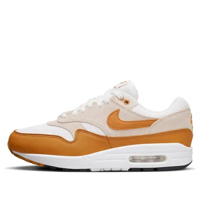 Nike Air Max 1 'bronze' In Multi