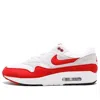 Nike Air Max 1 Anniversary Sneakers In Multi