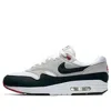 Nike Air Max 1 V Sp In Gray