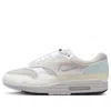 Nike Air Max 1 In Gray
