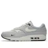 Nike Air Max 1 'pure Platinum'