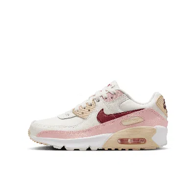 Nike Air Max 90 Big Kids' Shoes In Grey