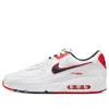 Nike Air Max 90 Low-top Sneakers In Multi