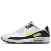 Nike Air Max 90 Sneaker In Multi