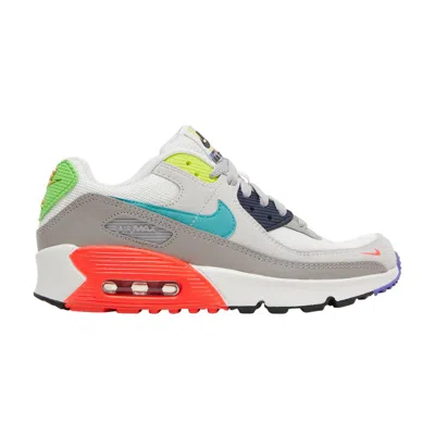 Pre-owned Nike Air Max 90 Gs 'evolution Of Icon' | Grey | Kid's Size 5.5 In Gray