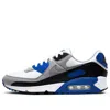 Nike Air Max 90 'hyper Royal' In Gray