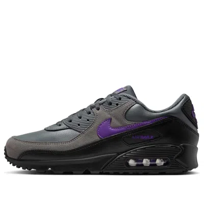 Nike Air Max 90 Sneaker In Gray