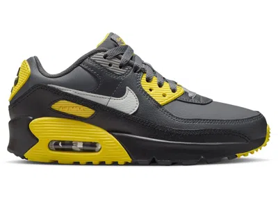 Pre-owned Nike Air Max 90 Ltr Light Silver Sneakers In Lightning/smoke Grey/anthracite