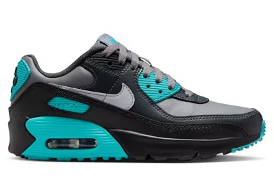 Pre-owned Nike Air Max 90 Ltr Wolf Grey Sneakers In Cool Grey/dusty Cactus/black In Multi