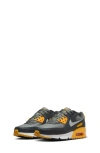 Nike Air Max 90 Sneaker In Gray