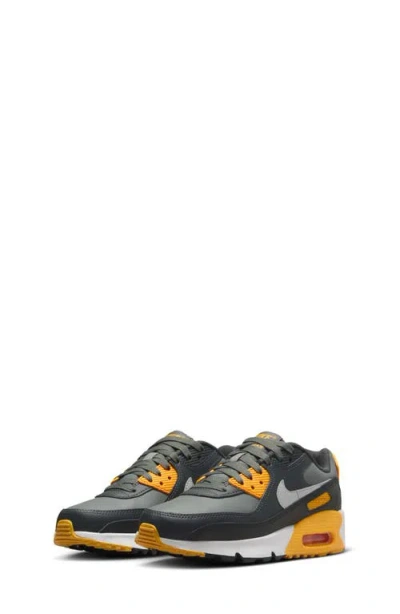 Nike Air Max 90 Sneaker In Gray